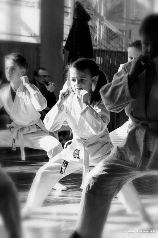 Фотографія Girl among boys. Kids Karate School / Виталий Кравченко / photographers.ua