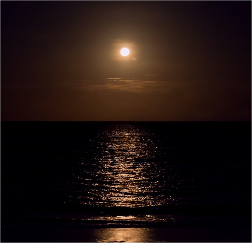 Фотографія Indian Ocean night / Макатер Павел / photographers.ua