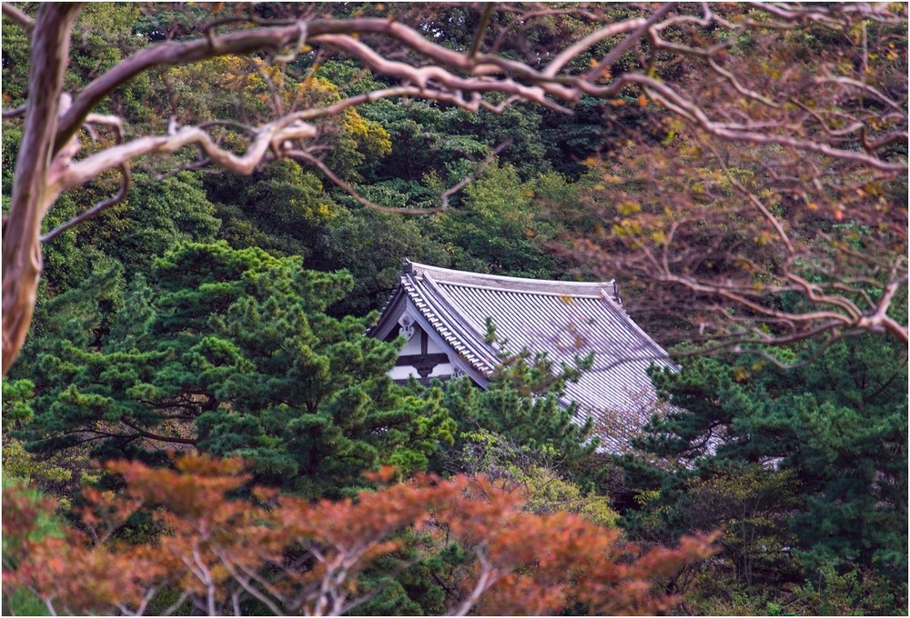 Фотографія Глубокой стариной повеяло… Сад возле храма засыпан палым листом... © Мацуо Басё. / Макатер Павел / photographers.ua