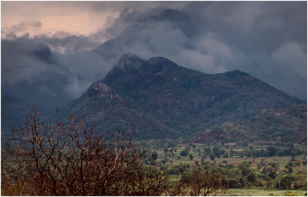 Фотографія Дыханье гор Цейлона... / Макатер Павел / photographers.ua