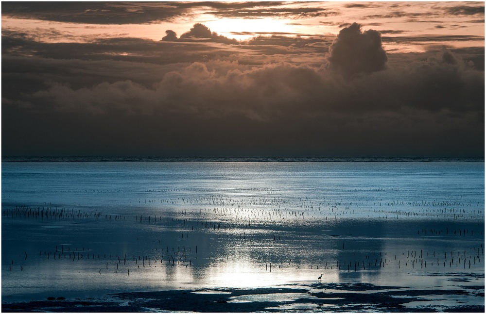 Фотографія Тропический рассвет... / Макатер Павел / photographers.ua