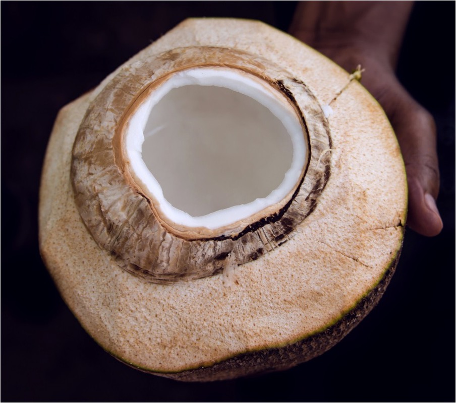 Фотографія Внутри кокоса... / Макатер Павел / photographers.ua