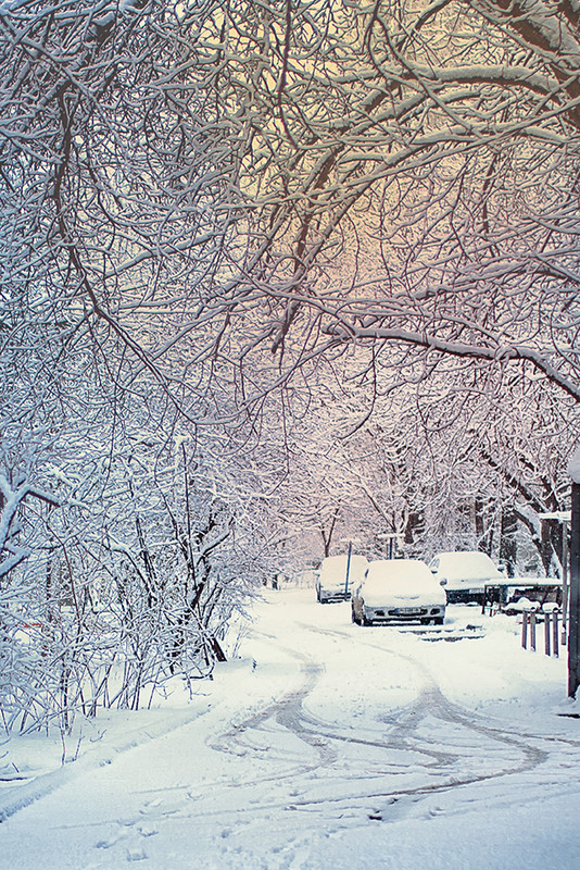 Фотографія снежные лабиринты / Иевенко Ната / photographers.ua
