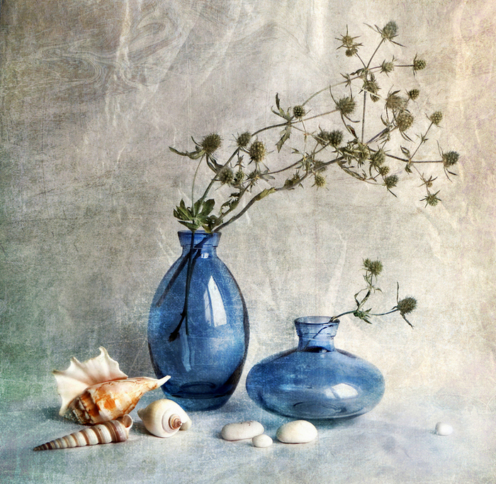 Фотографія ... / Наталья Алтыпина / photographers.ua