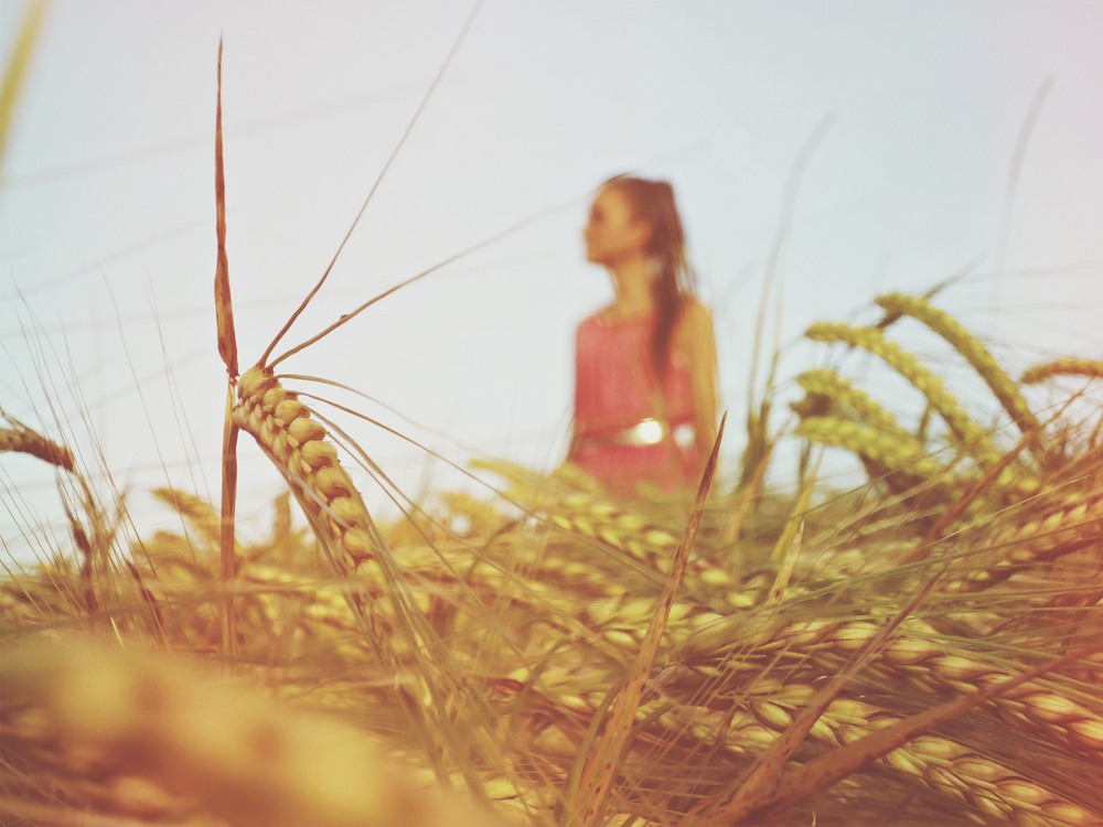 Фотографія Природа. / Оксана Чиляк / photographers.ua