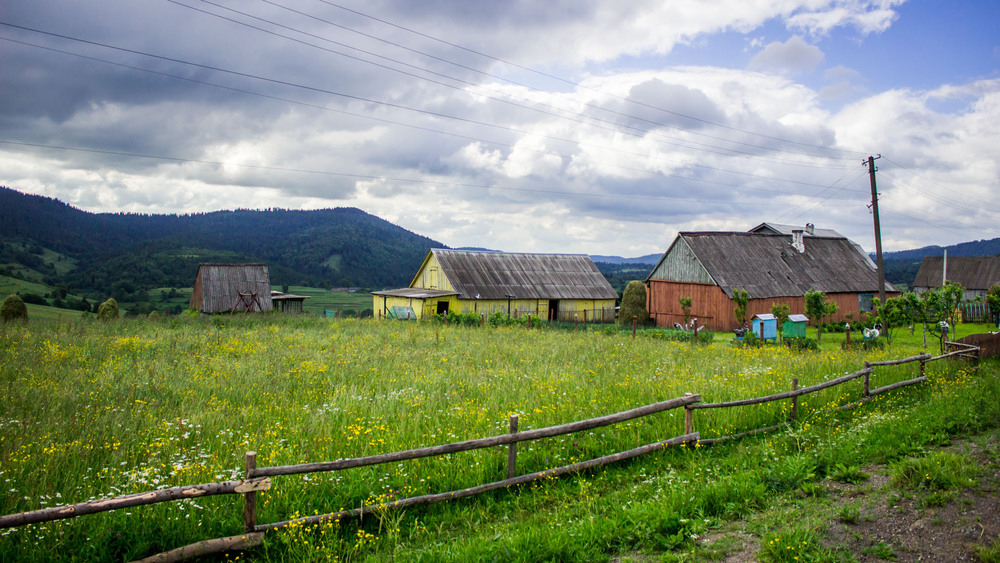 Фотографія Carpathian Mountains | Huts / Una Manu / photographers.ua