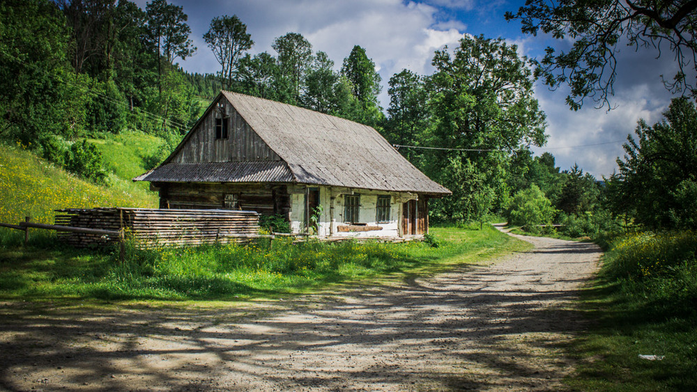 Фотографія Hut in the Carpathians / Una Manu / photographers.ua