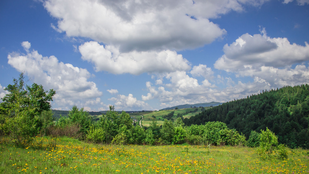 Фотографія Carpathian landscape / Una Manu / photographers.ua