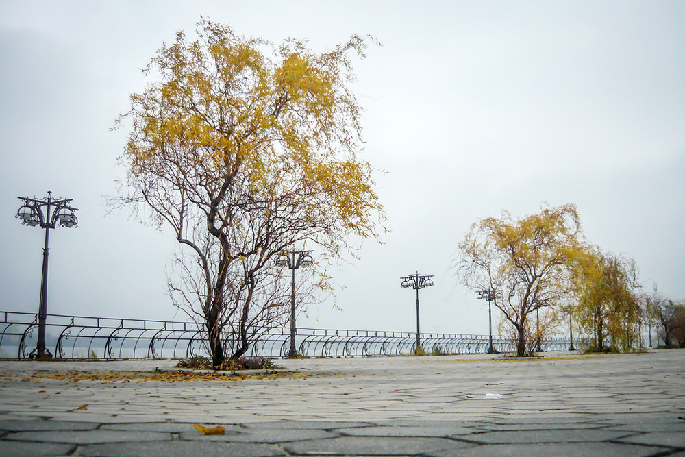 Фотографія Late Autumn | Dnipro / Una Manu / photographers.ua
