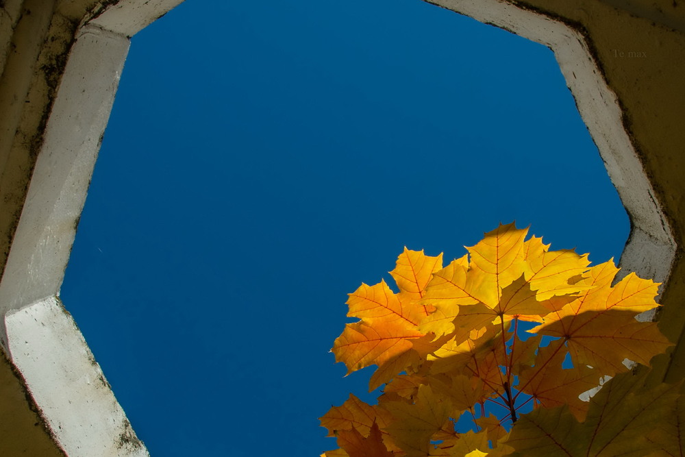 Фотографія осень в окне / Max Tereshchenko / photographers.ua