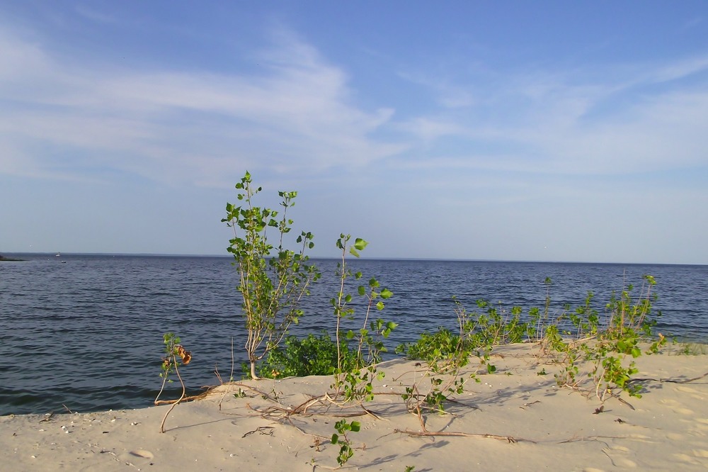 Фотографія *** / Наталка / photographers.ua
