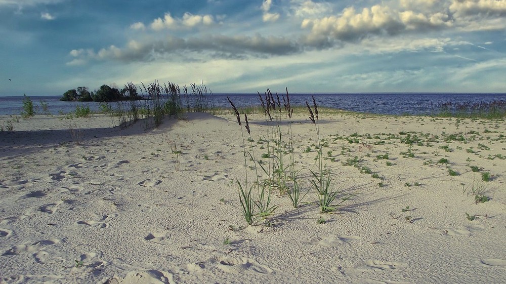 Фотографія *** / Наталка / photographers.ua