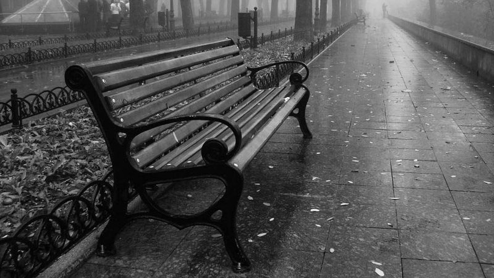 Фотографія одинокая  скамейка...... / Наталка.. / photographers.ua