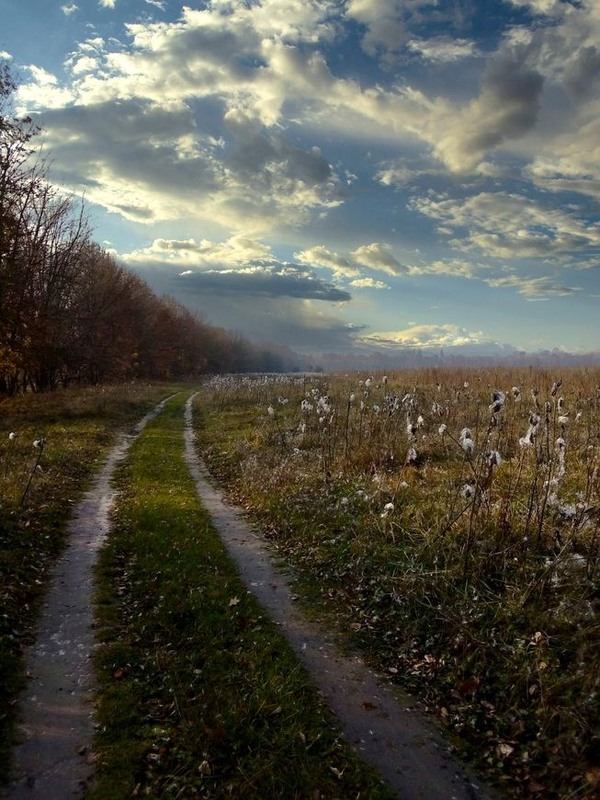 Фотографія Осенняя дорога.... / Наталка.. / photographers.ua