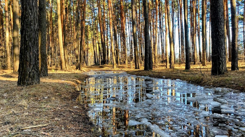 Фотографія *** / Наталка / photographers.ua