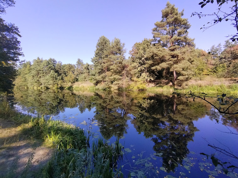 Фотографія """ / Наталка / photographers.ua