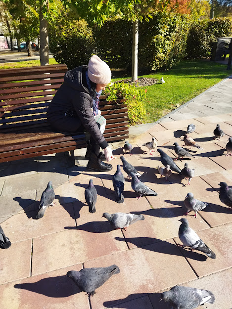 Фотографія Голуби... / Наталка / photographers.ua