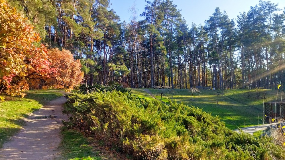 Фотографія В парке.... / Наталка / photographers.ua