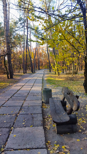 Фотографія В парке.... / Наталка / photographers.ua