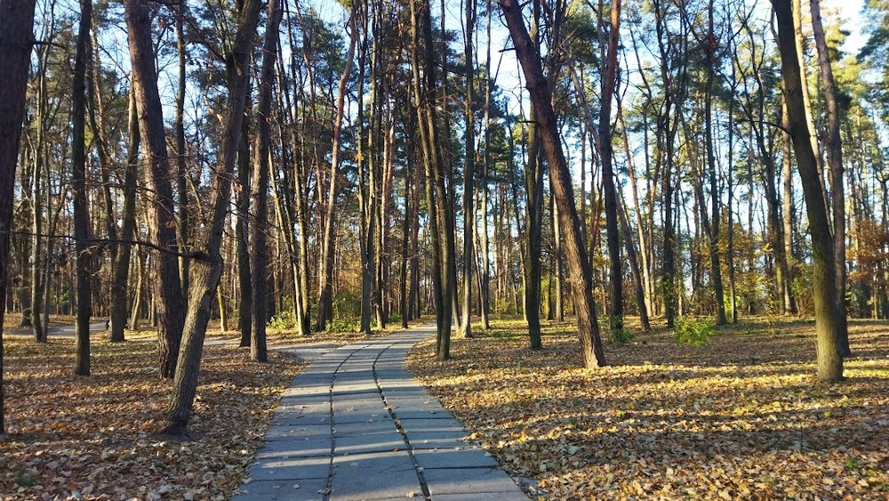 Фотографія В парке.... / Наталка / photographers.ua