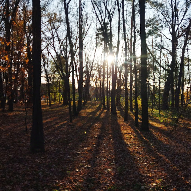 Фотографія В парке.... / Наталка / photographers.ua
