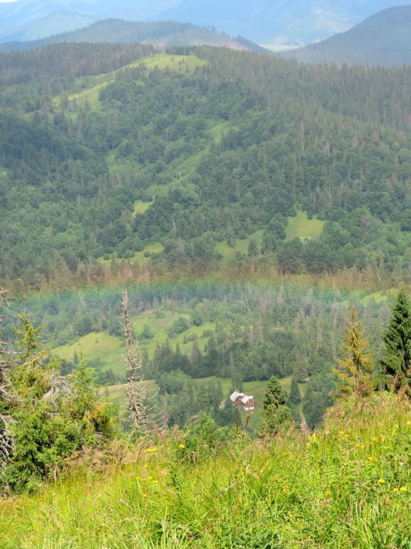 Фотографія Rainbow / VSovpen4uk / photographers.ua
