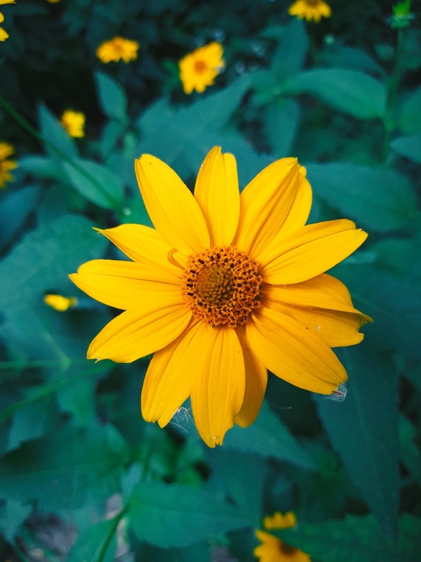 Фотографія Гламур / Yuriy Protsyuk / photographers.ua