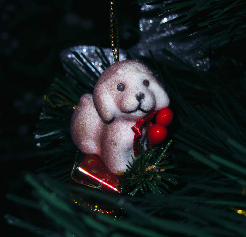 Фотографія #hello2021 / Yuriy Protsyuk / photographers.ua