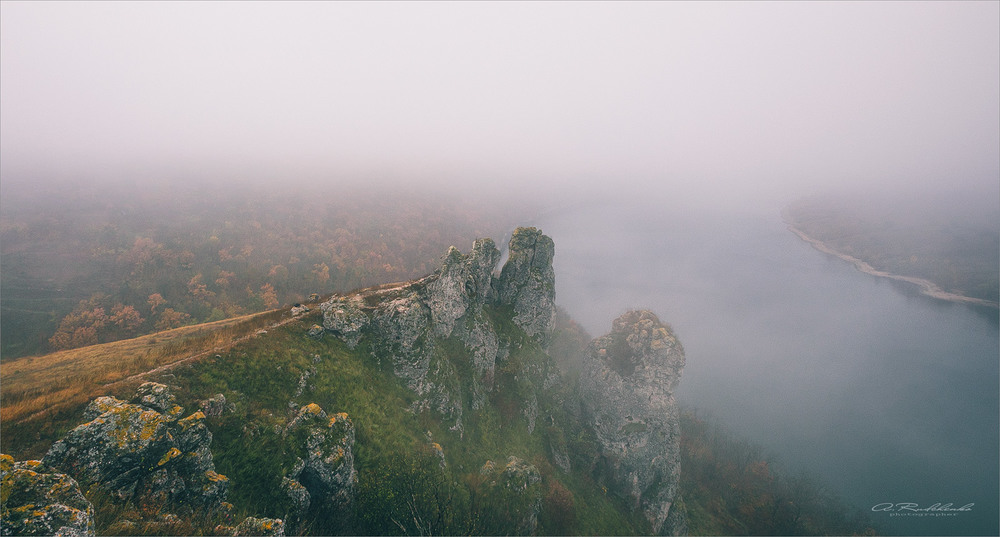 Фотографія Говди в тумані / Анатолий Рудченко / photographers.ua
