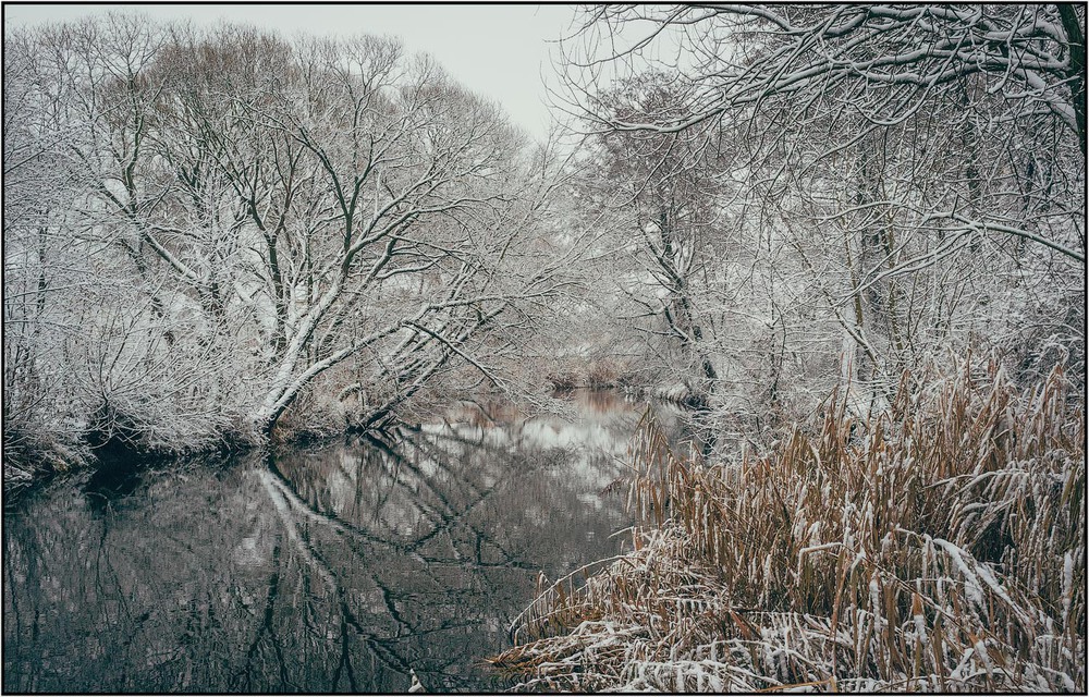Фотографія А от і зима... / Анатолий Рудченко / photographers.ua