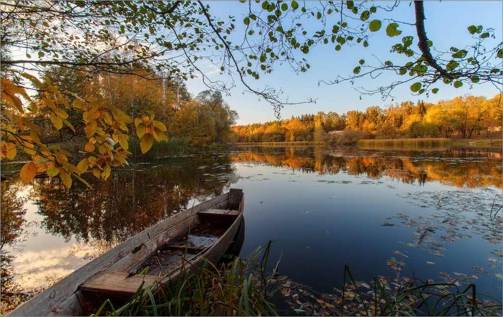 Фотографія Згадаємо про осінь / Анатолий Рудченко / photographers.ua