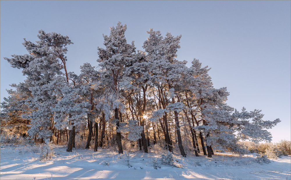 Фотографія А все таки будемо сумувати за зимовою красою.Кожна пора року красива по своєму! / Анатолий Рудченко / photographers.ua