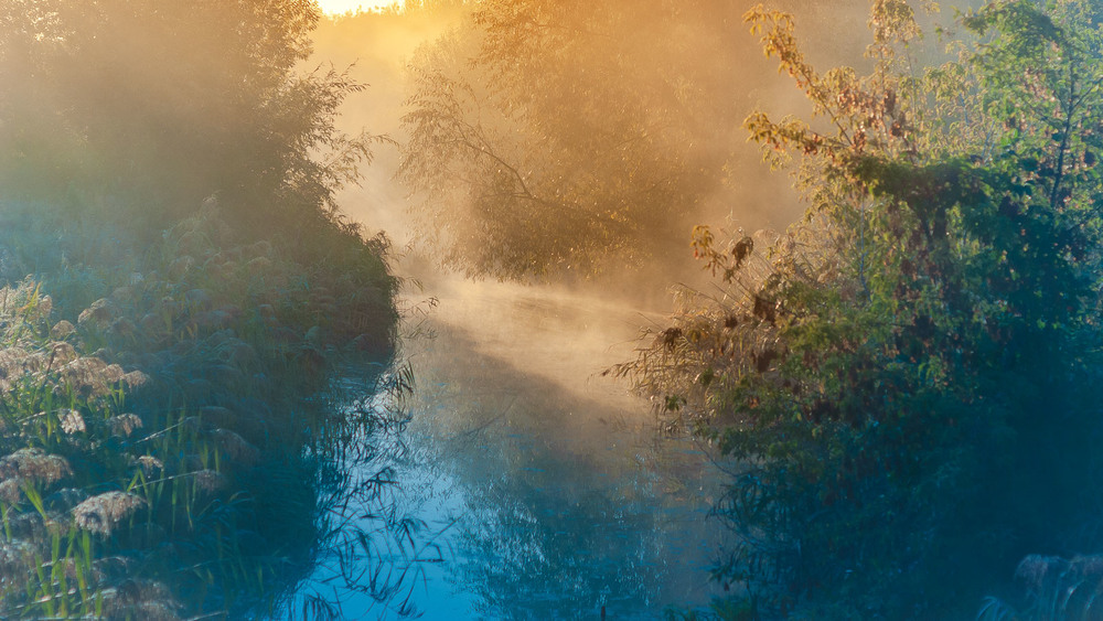 Фотографія Ранковий променад / Євген Заруцький / photographers.ua