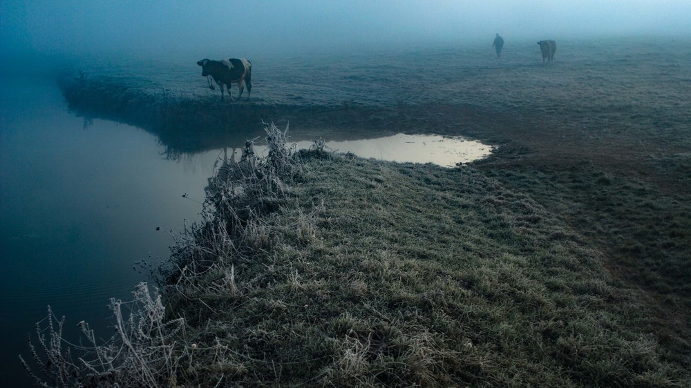 Фотографія Туманний ранок / Євген Заруцький / photographers.ua