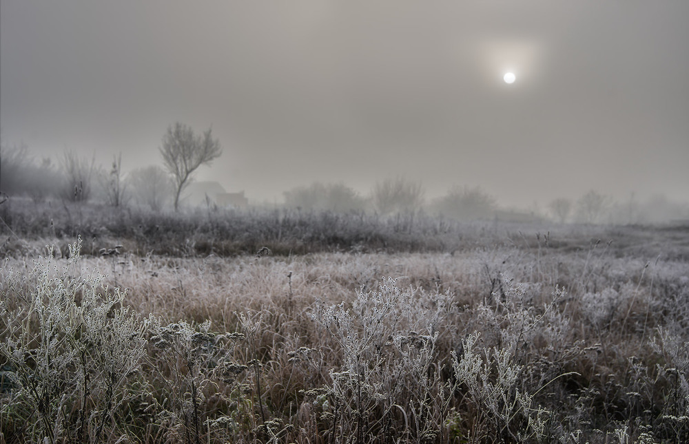 Фотографія Солнце в тумане / Ігор / photographers.ua