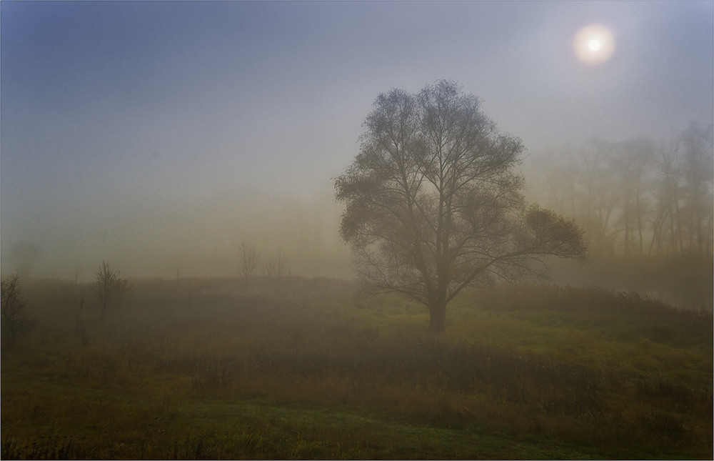 Фотографія Солнце в тумане... / Ігор / photographers.ua