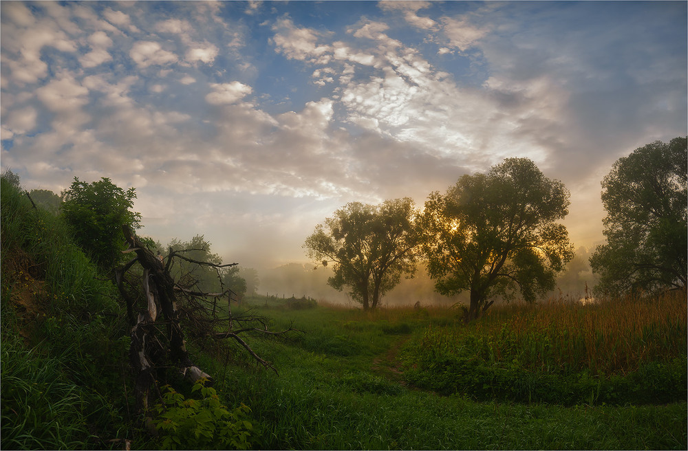 Фотографія Утро мёртвого дерева.. / Ігор / photographers.ua