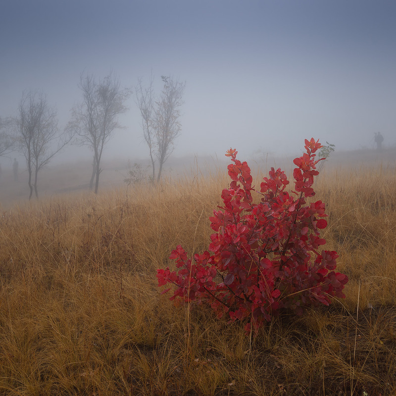 Фотографія Фотограф в тумані / Ігор Харківський / photographers.ua