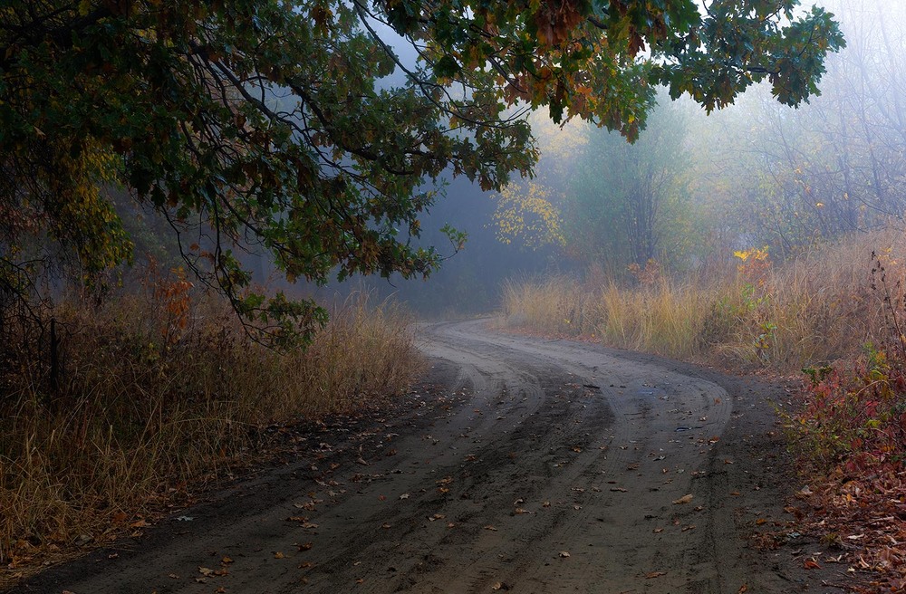 Фотографія Пейзаж / Ігор Харківський / photographers.ua