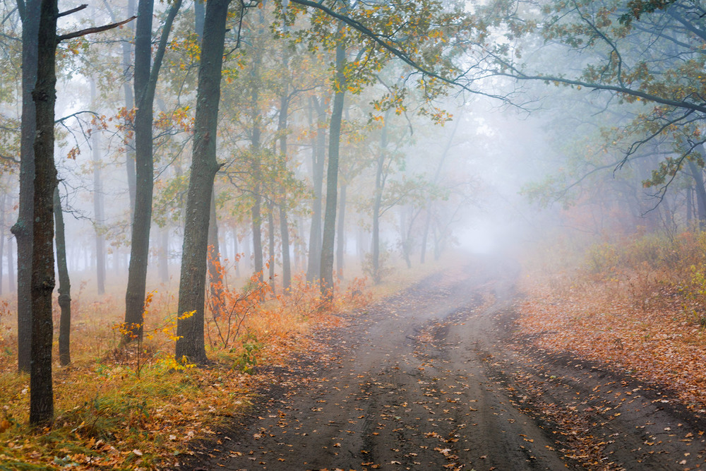 Фотографія Блукав я, якось, біля річки) / Ігор Харківський / photographers.ua