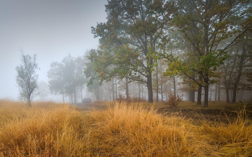 Фотографія Пейзаж / Ігор Харківський / photographers.ua