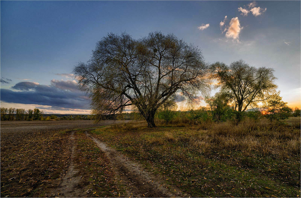 Фотографія Пейзаж / Ігор Харківський / photographers.ua