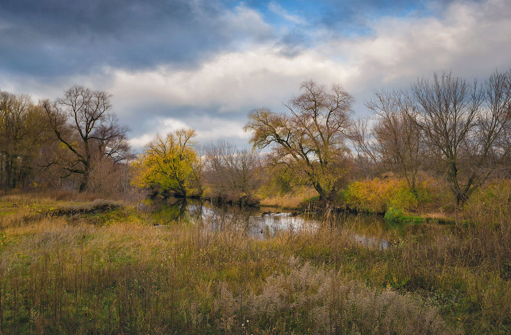 Фотографія Пейзаж / Ігор Харківський / photographers.ua