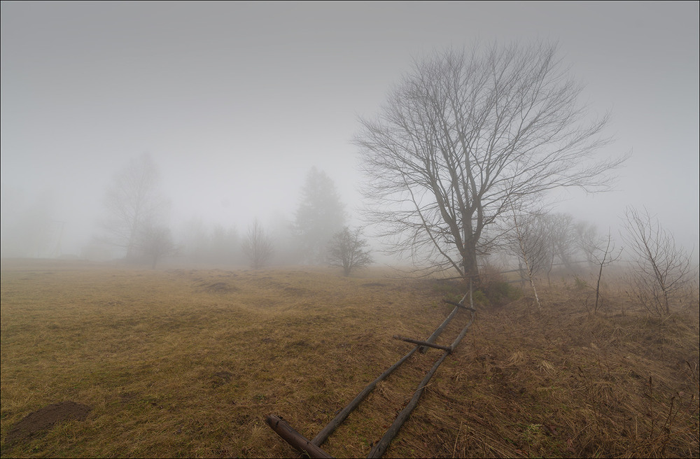 Фотографія Розчиняючись в тумані... / Ігор / photographers.ua