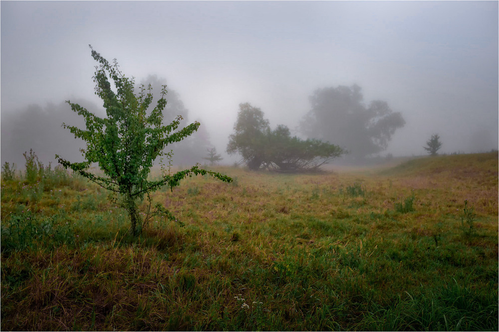 Фотографія Пейзаж / Ігор Харківський / photographers.ua