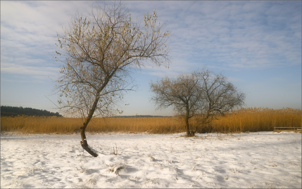 Фотографія В косых лучах заката / Ігор / photographers.ua