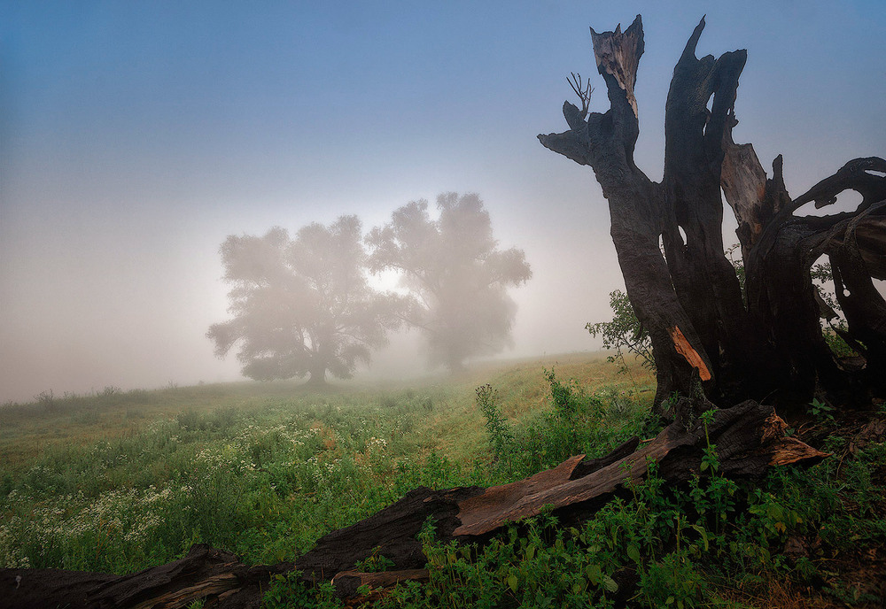 Фотографія Народження... Життя... Смерть... / Ігор Харківський / photographers.ua