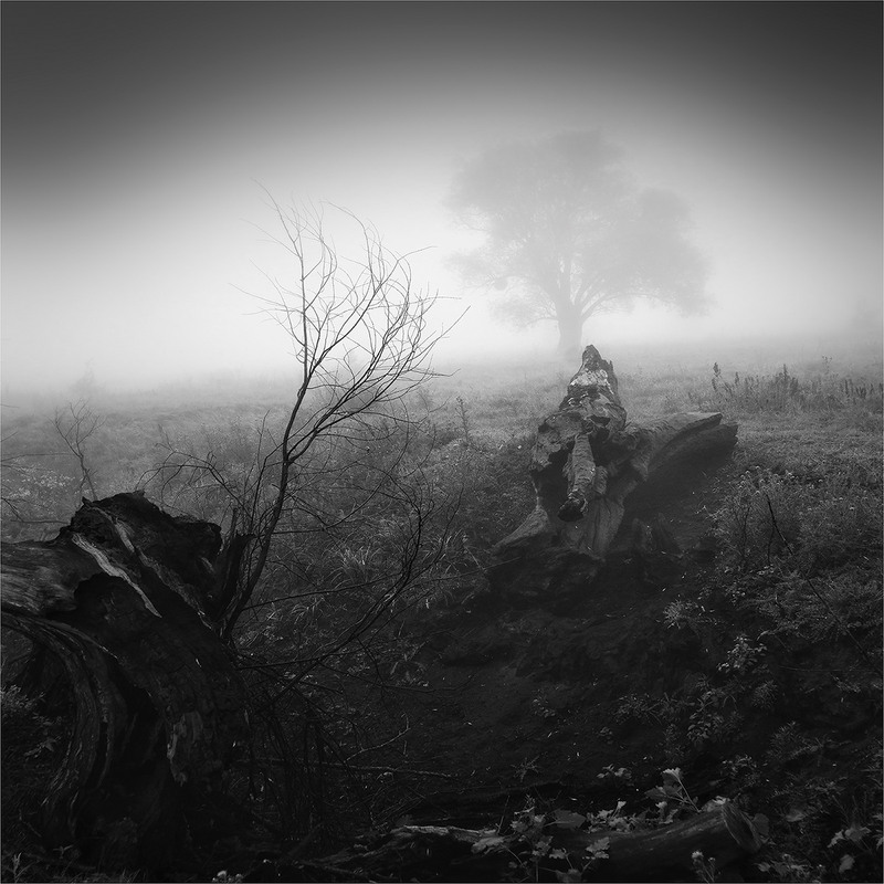 Фотографія Пейзаж / Ігор Харківський / photographers.ua