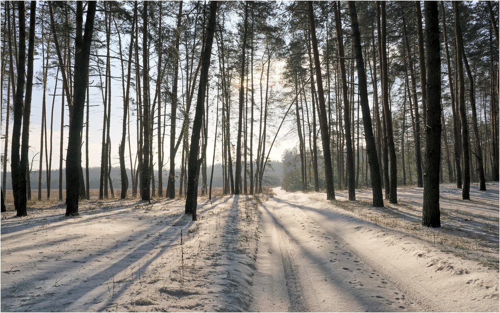 Фотографія Зимний полдень / PIV / photographers.ua