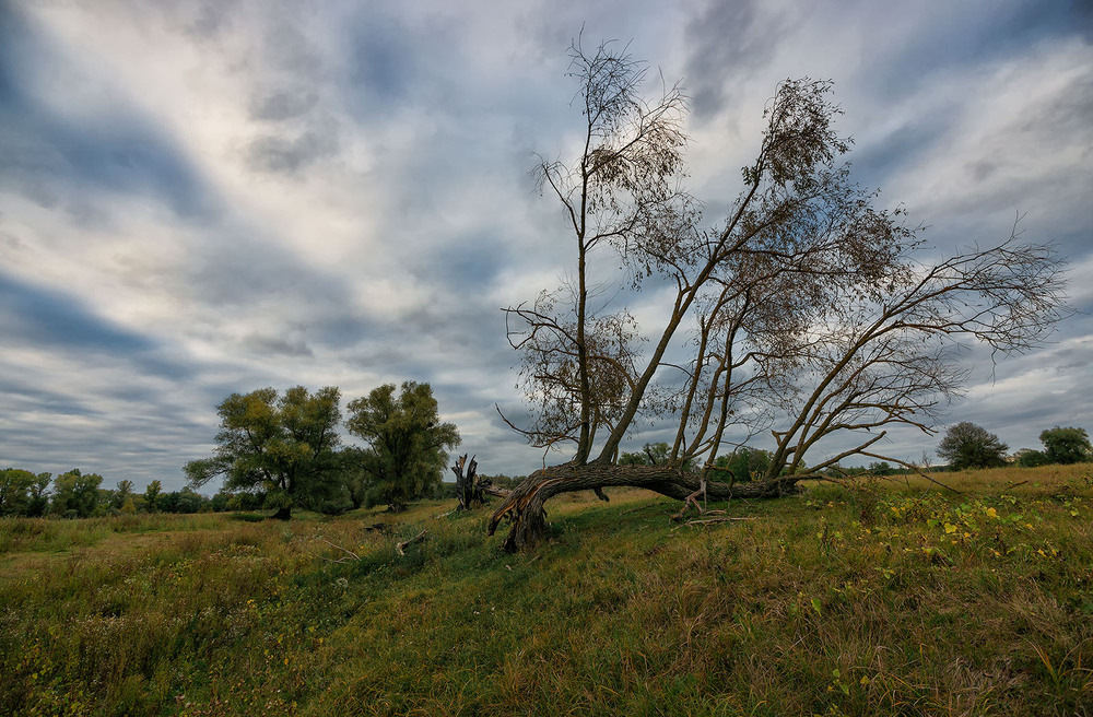 Фотографія Пейзаж / Ігор Харківський / photographers.ua